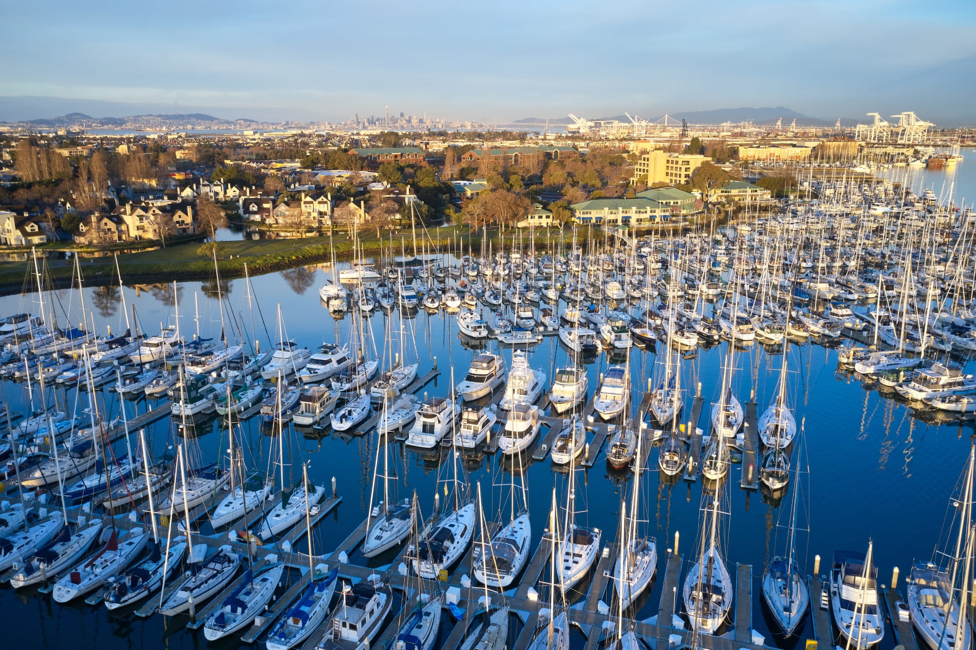A marina full of sailboats at golden hour